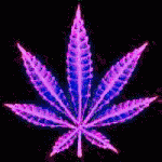 cecfc0becf78329b5fb3e772f1c6f9c0.gif