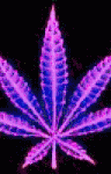 cecfc0becf78329b5fb3e772f1c6f9c0