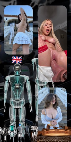 Robot Wrestling 🇬🇧